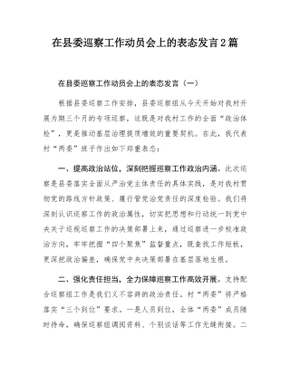 在县委巡察工作动员会上的表态发言2篇.docx