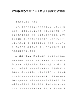 在巡视整改专题民主SH会上的表态发言稿.docx