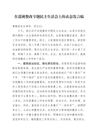 在巡视整改专题民主生活会上的表态发言稿.docx
