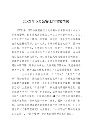 20XX年XX公安工作主要情况.docx