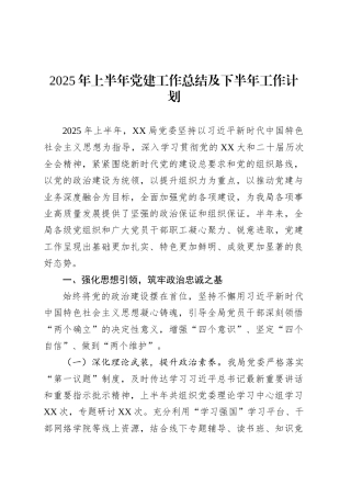 2025年上半年党建工作总结及下半年工作计划.docx