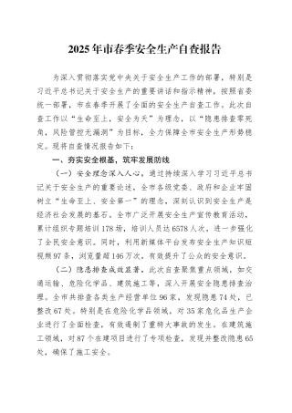 2025年市春季安全生产自查报告.docx