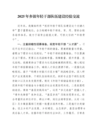 2025年乡镇街道年轻干部队伍建设经验交流.docx