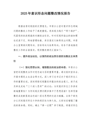 2025年意态问题整改情况报告.docx