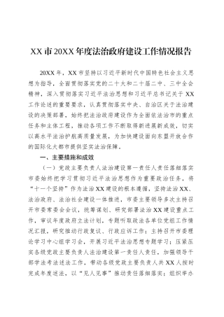 XX市20XX年度法治政府建设工作情况报告.docx