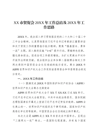 XX市贸促会20XX年工作总结及20XX年工作思路.docx