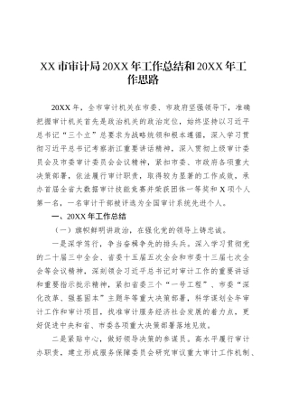 XX市审计局20XX年工作总结和20XX年工作思路.docx