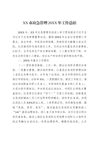 XX市应急管理20XX年工作总结.docx