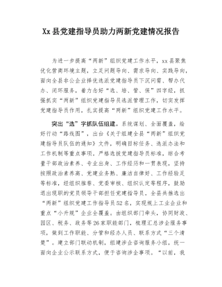 Xx县党建指导员助力两新党建情况报告.docx