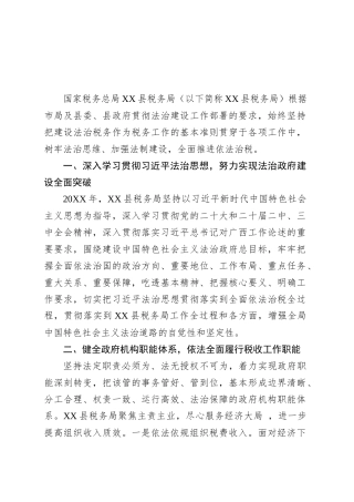 XX县税务局 20XX年度法治政府建设情况报告.docx