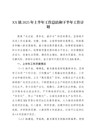 XX镇2025年上半年工作总结和下半年工作计划.docx