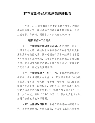 村党支部书记述职述德述廉报告.docx