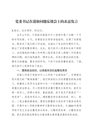 党委书记在巡察问题反馈会上的表态发言.docx