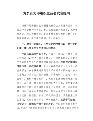 党员在支部组织SH会发言提纲.docx