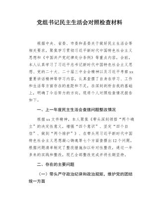 党组书记民主SH会对照检查材料.docx