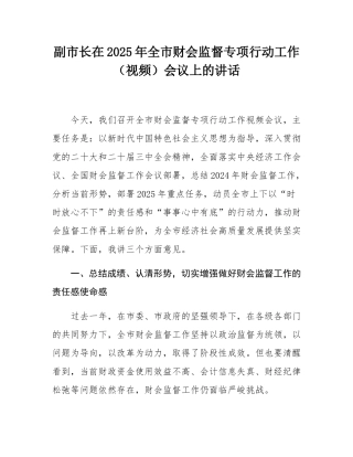 副市长在2025年全市财会监督专项行动工作（视频）会议上的讲话.docx