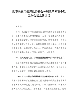 副市长在市委深改委社会体制改革专项小组工作会议上的讲话.docx