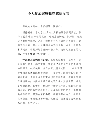 个人参加巡察收获感悟发言.docx