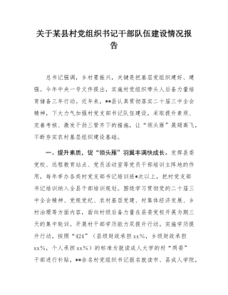 关于某县村党组织书记干部队伍建设情况报告.docx