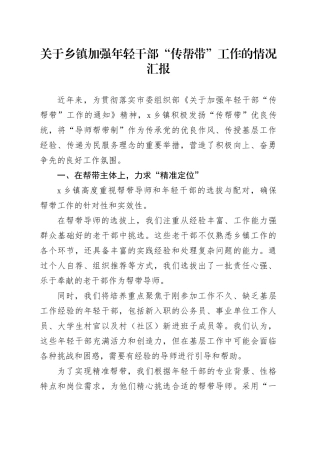 关于乡镇街道加强年轻干部“传帮带”工作的情况汇报.docx