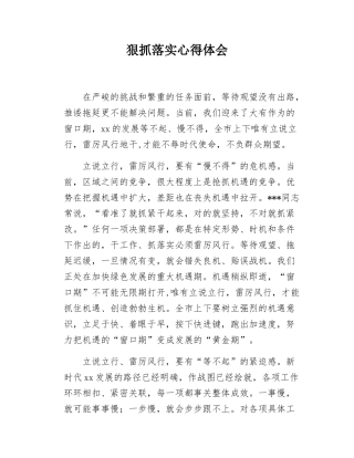 狠抓落实心得体会.docx
