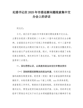 纪委书记在2025年市委巡察问题线索集中交办会上的讲话.docx