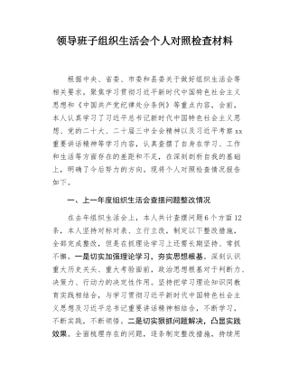 领导班子组织SH会个人对照检查材料.docx