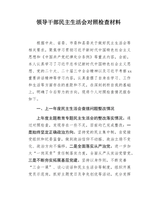 领导干部民主SH会对照检查材料.docx