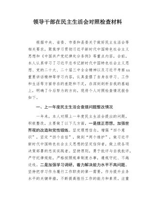 领导干部在民主SH会对照检查材料.docx