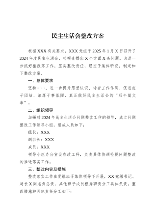 民主生活会整改方案.docx
