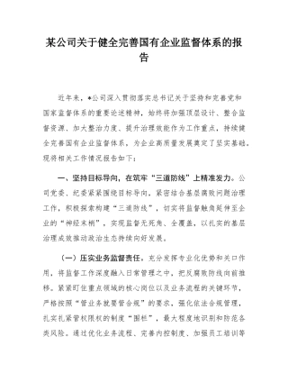 某公司关于健全完善国有企业监督体系的报告.docx