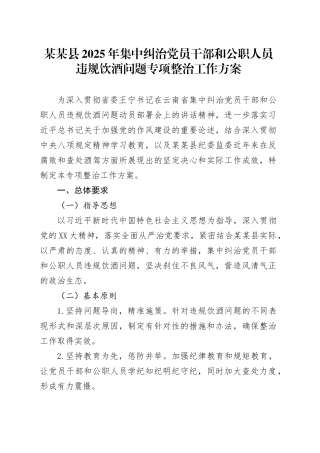 某某县2025年集中纠治党员干部和公职人员违规饮酒问题专项整治工作方案.docx