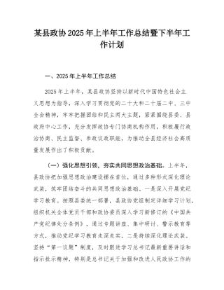 某县政协2025年上半年工作总结暨下半年工作计划.docx