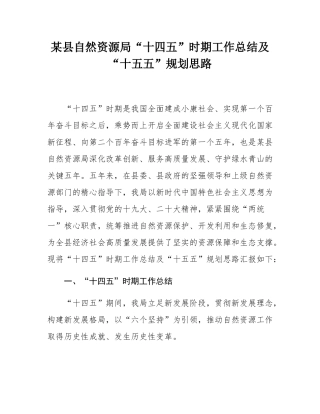 某县自然资源局“十四五”时期工作总结及“十五五”规划思路.docx