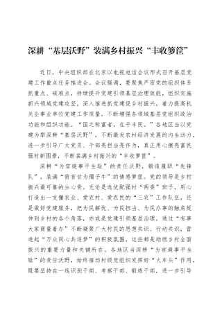 深耕“基层沃野”装满乡村振兴“丰收箩筐”.docx