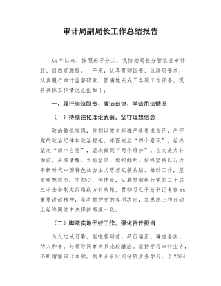 审计局副局长工作总结报告.docx