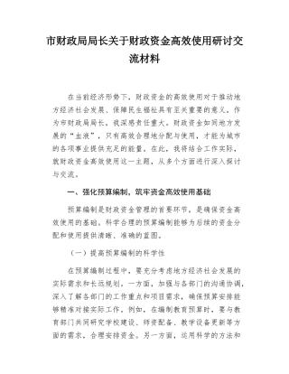 市财政局局长关于财政资金高效使用研讨交流材料.docx