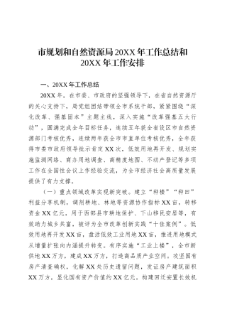 市规划和自然资源局20XX年工作总结和20XX年工作安排.docx