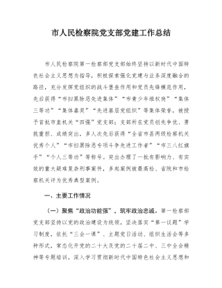 市人民检察院党支部党建工作总结.docx