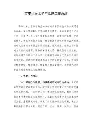 市审计局上半年党建工作总结.docx