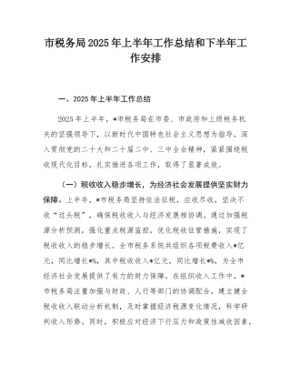 市税务局2025年上半年工作总结和下半年工作安排.docx