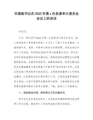 市委副书记在2025年第1次县委审计委员会会议上的讲话.docx