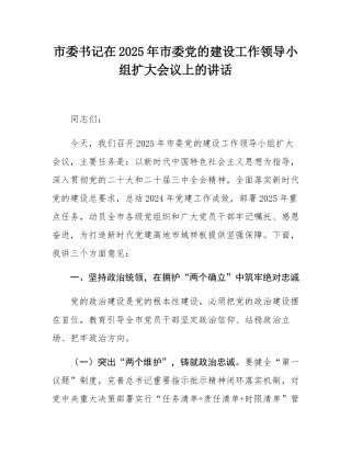 市委书记在2025年市委党的建设工作领导小组扩大会议上的讲话.docx