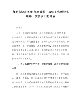 市委书记在2025年市委统一战线工作领导小组第一次会议上的讲话.docx
