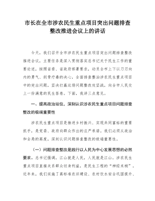 市长在全市涉农民生重点项目突出问题排查整改推进会议上的讲话.docx
