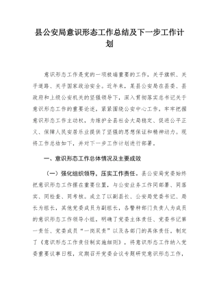 县公安局意态工作总结及下一步工作计划.docx