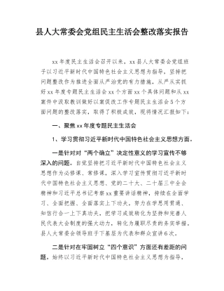 县人大常委会党组民主SH会整改落实报告.docx