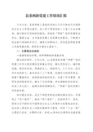 县委两新党建工作情况汇报.docx