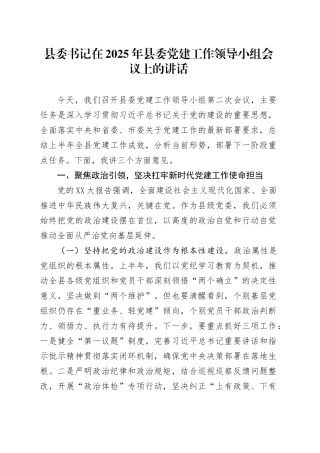 县委书记在2025年县委党建工作领导小组会议上的讲话.docx