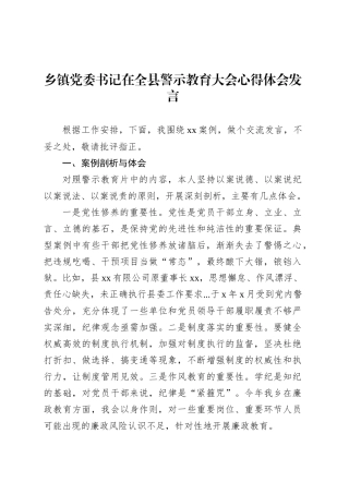 乡镇街道党委书记在全县警示教育大会心得体会发言.docx